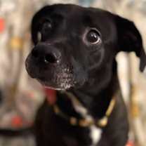 Thumbnail photo of Sunny Girl #4