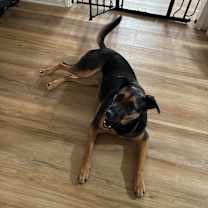 Thumbnail photo of Misty #3