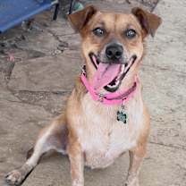 Thumbnail photo of Kennadee #3