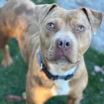 Thumbnail photo of Mike #3