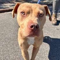 Thumbnail photo of Mike #4