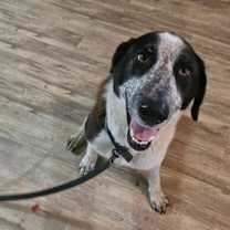 Thumbnail photo of Mindy #4