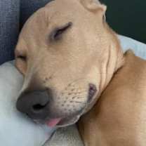 Thumbnail photo of Barry #2