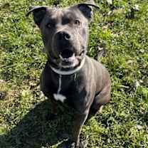 Thumbnail photo of Adrik #1