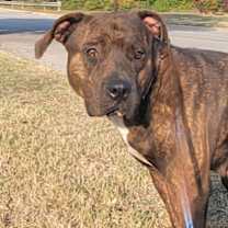 Thumbnail photo of Ruth #1