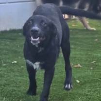 Thumbnail photo of Nado #2