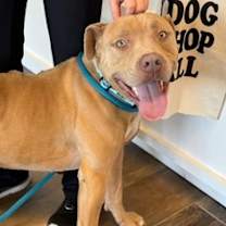 Thumbnail photo of Martian #3