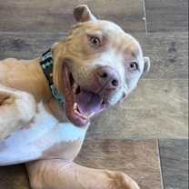 Thumbnail photo of Martian #4