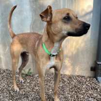 Thumbnail photo of Spartan #2