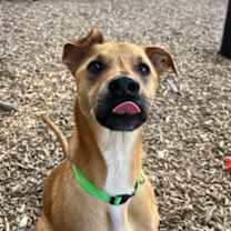 Thumbnail photo of Spartan #3