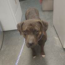 Thumbnail photo of Ruth #2