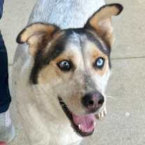 Thumbnail photo of Huestis #1