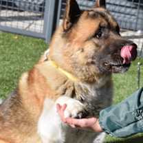 Thumbnail photo of Mr. Smith #3