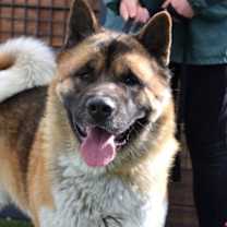 Thumbnail photo of Mr. Smith #4