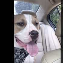 Thumbnail photo of King #1