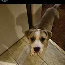 Thumbnail photo of King #2