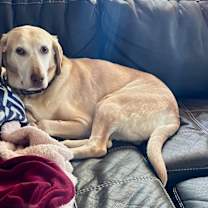 Thumbnail photo of Ragnar #4