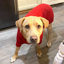 Thumbnail photo of Luna #3