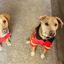 Thumbnail photo of Luna #4