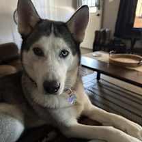 Thumbnail photo of Zeus #2