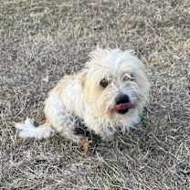 Thumbnail photo of JoJo #2