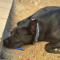 Thumbnail photo of Malibu #2