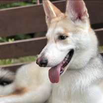 Thumbnail photo of Shadow #2