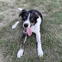 Thumbnail photo of Thatcher #2