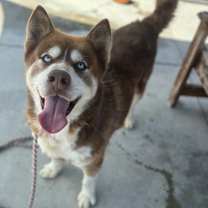 Thumbnail photo of Jason #2