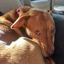 Thumbnail photo of Flora #4