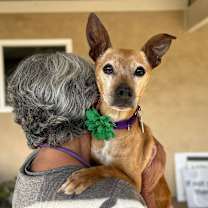 Thumbnail photo of Nala Panera #1