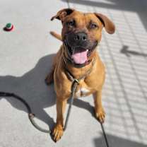 Thumbnail photo of Tank #3