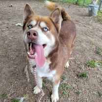 Thumbnail photo of Jason #3