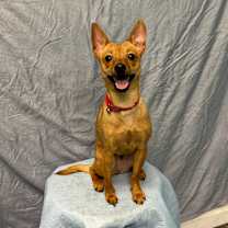 Thumbnail photo of Flor #1