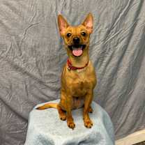 Thumbnail photo of Flor #2