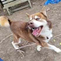 Thumbnail photo of Jason #4