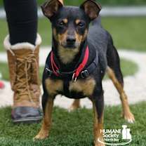 Thumbnail photo of Jacques #3