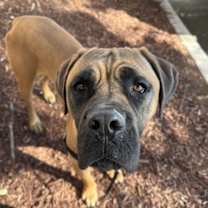 Thumbnail photo of Jones #2