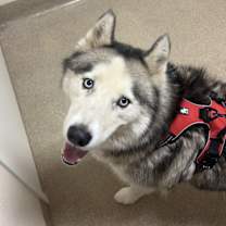 Thumbnail photo of Bubba #2