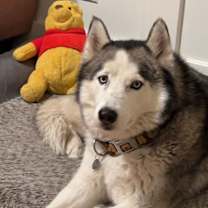 Thumbnail photo of Bubba #3