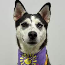 Thumbnail photo of Kelly #1