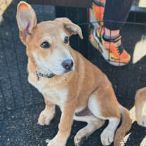 Thumbnail photo of Barron #1