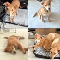 Thumbnail photo of Barron #2