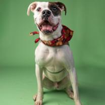 Thumbnail photo of Crew #1