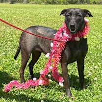 Thumbnail photo of Luna #3