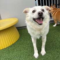 Thumbnail photo of MAEUM #1