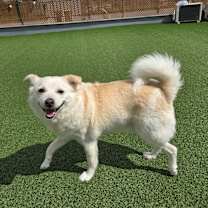 Thumbnail photo of MAEUM #3