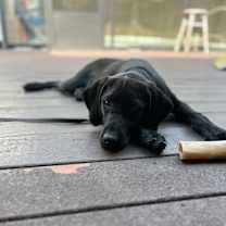 Thumbnail photo of Kayla #2