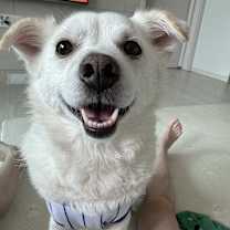 Thumbnail photo of MAEUM #1