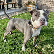 Thumbnail photo of Elsa #2